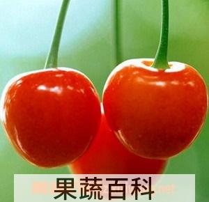 果蔬百科樱桃