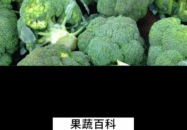果蔬百科吃西兰花的好处有哪些