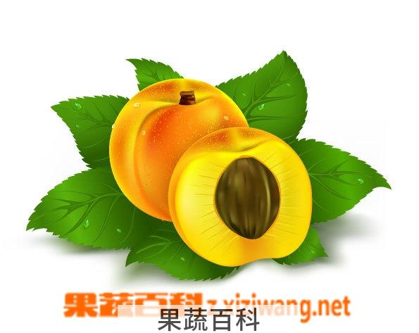 果蔬百科黄桃
