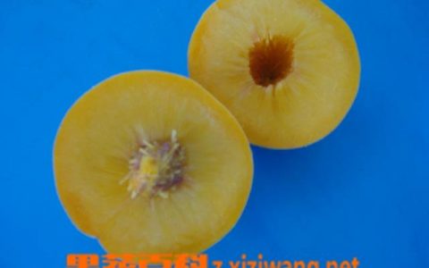 黄桃视频app下载安装无限看-丝瓜ios苏州晶体公司藏族 黄桃视频b站