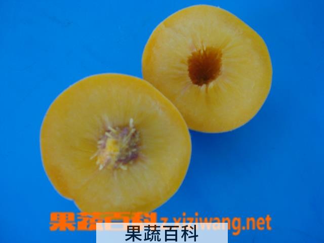 果蔬百科黄肉桃