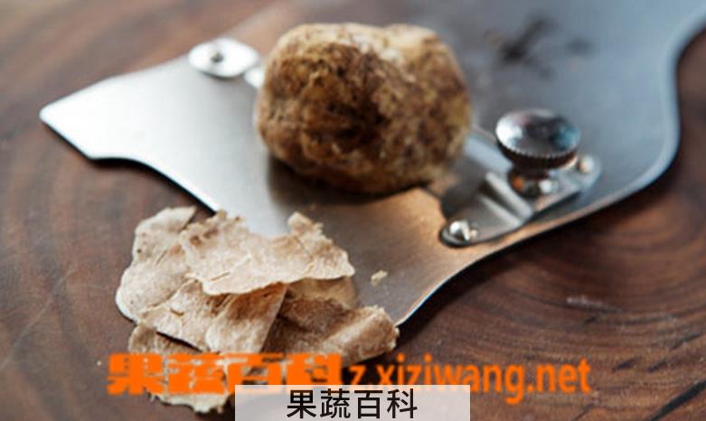 果蔬百科白松露菌怎么吃营养