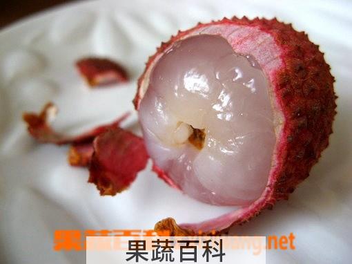 果蔬百科荔枝