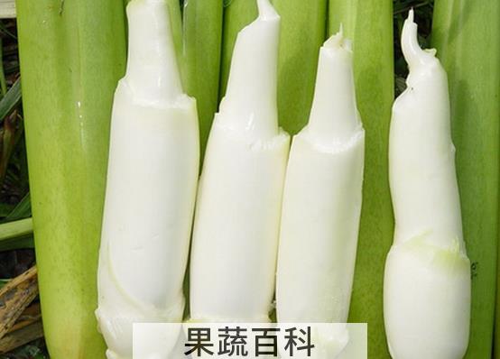 果蔬百科茭白的功效与作用