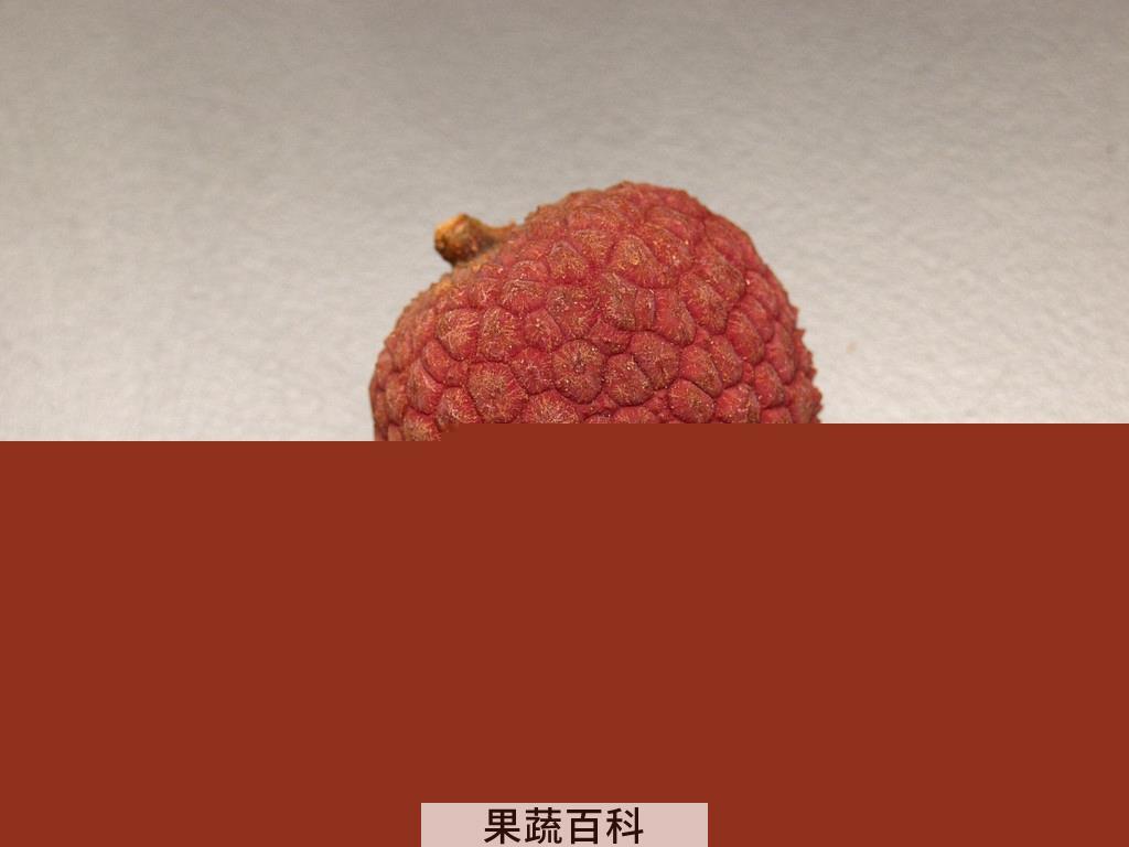 果蔬百科荔枝