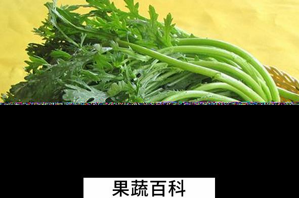 果蔬百科茼蒿的功效与作用