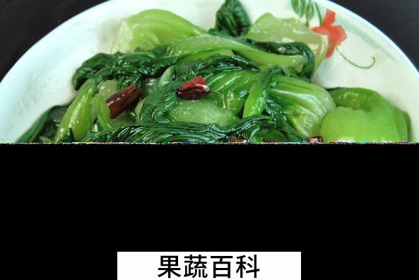 果蔬百科油菜怎么做好吃