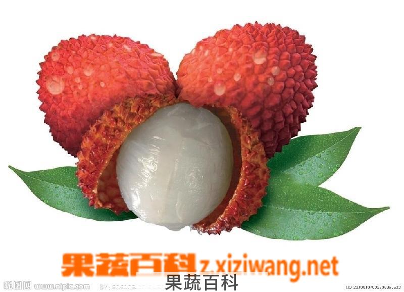 果蔬百科荔枝