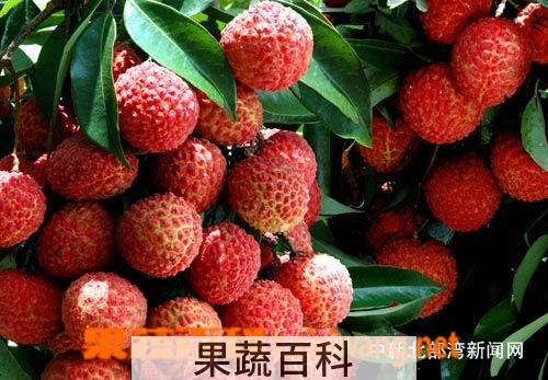 果蔬百科荔枝