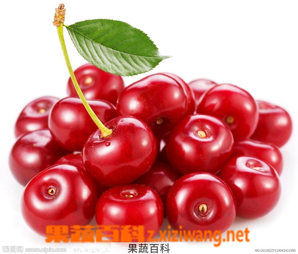 果蔬百科大樱桃