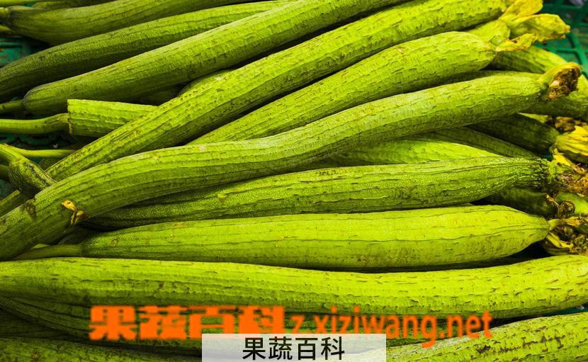 果蔬百科丝瓜怎么做好吃 丝瓜的吃法