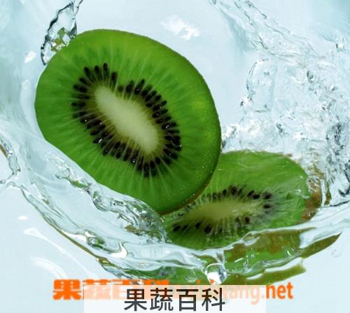 果蔬百科猕猴桃
