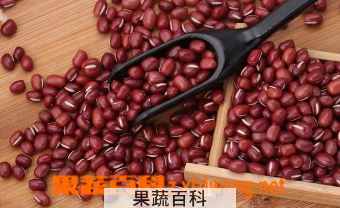 果蔬百科红豆的功效与作用
