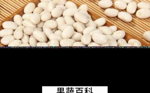 白芸豆的功效与作用害处 白芸豆的功效与作用及禁忌