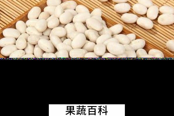 果蔬百科白芸豆的功效与作用