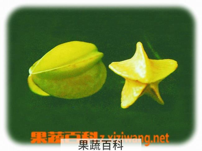 果蔬百科杨桃
