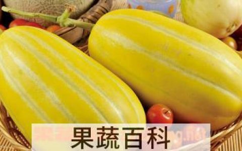 黄金瓜的营养与功效与作用 黄金瓜的营养价值及功效与作用