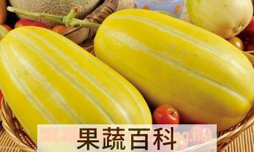 果蔬百科黄金瓜的功效与作用