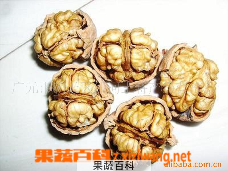 果蔬百科核桃