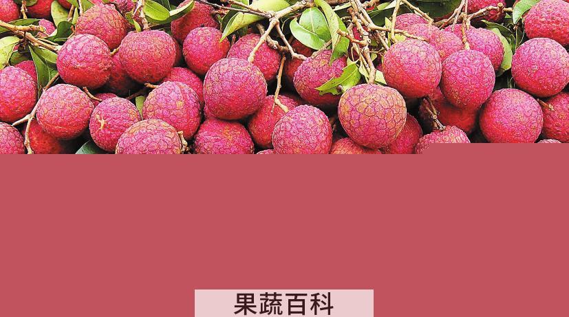 果蔬百科荔枝