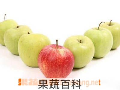 果蔬百科苹果