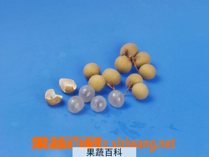 果蔬百科龙眼