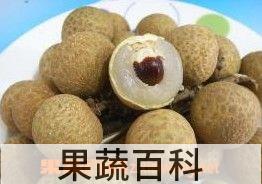 果蔬百科桂圆