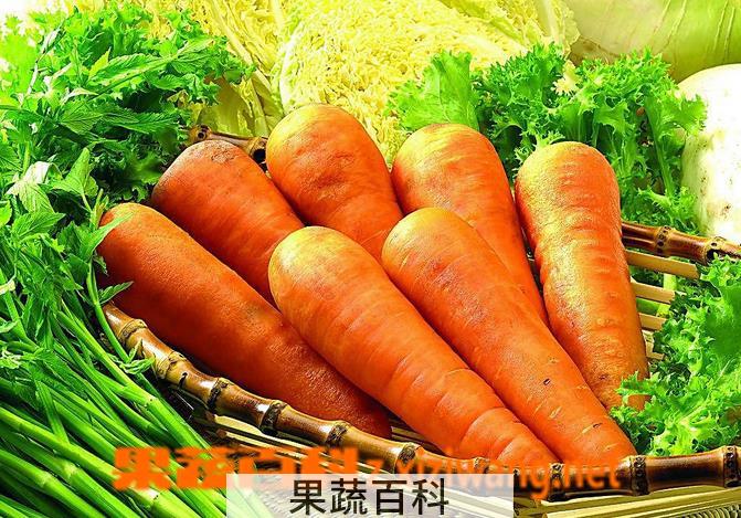 果蔬百科胡萝卜怎么吃最营养