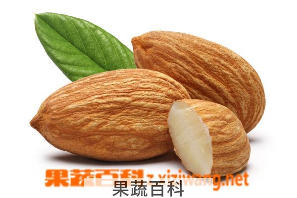 果蔬百科杏仁