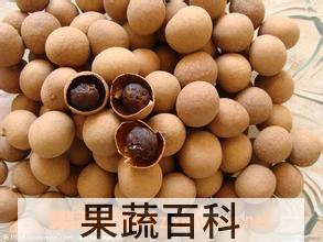 果蔬百科桂圆