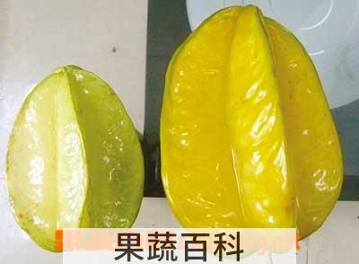 果蔬百科杨桃