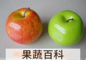 果蔬百科苹果