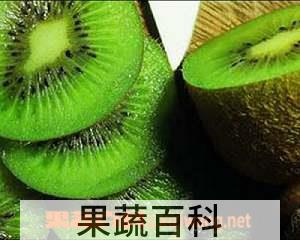 果蔬百科猕猴桃