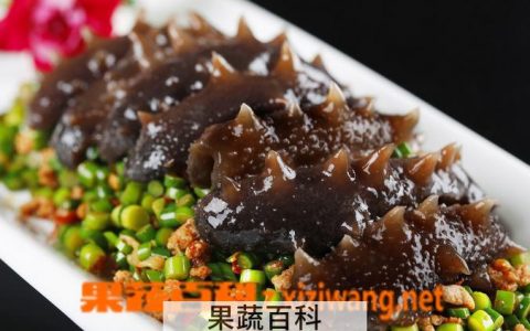 辽参的功效与作用及营养 辽参功效和营养价值