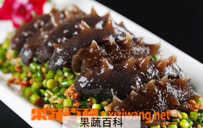 果蔬百科辽参的功效与作用