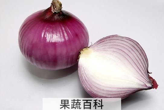 果蔬百科五个理由让你爱上洋葱