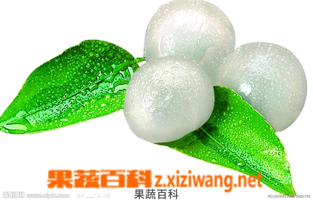 果蔬百科龙眼