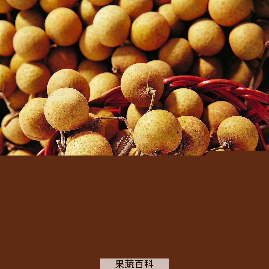 果蔬百科龙眼