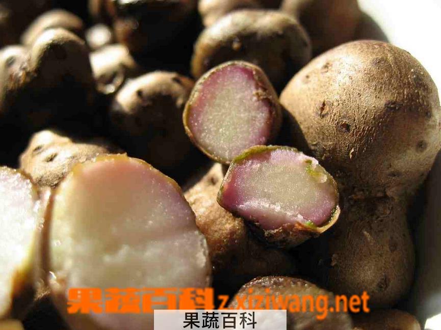 果蔬百科山药豆的功效与作用 山药豆吃法
