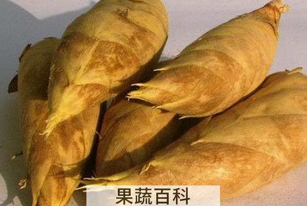 果蔬百科冬笋的功效与作用