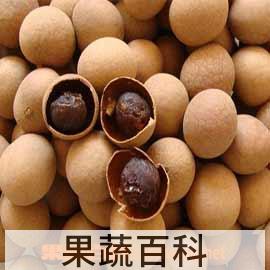果蔬百科龙眼干