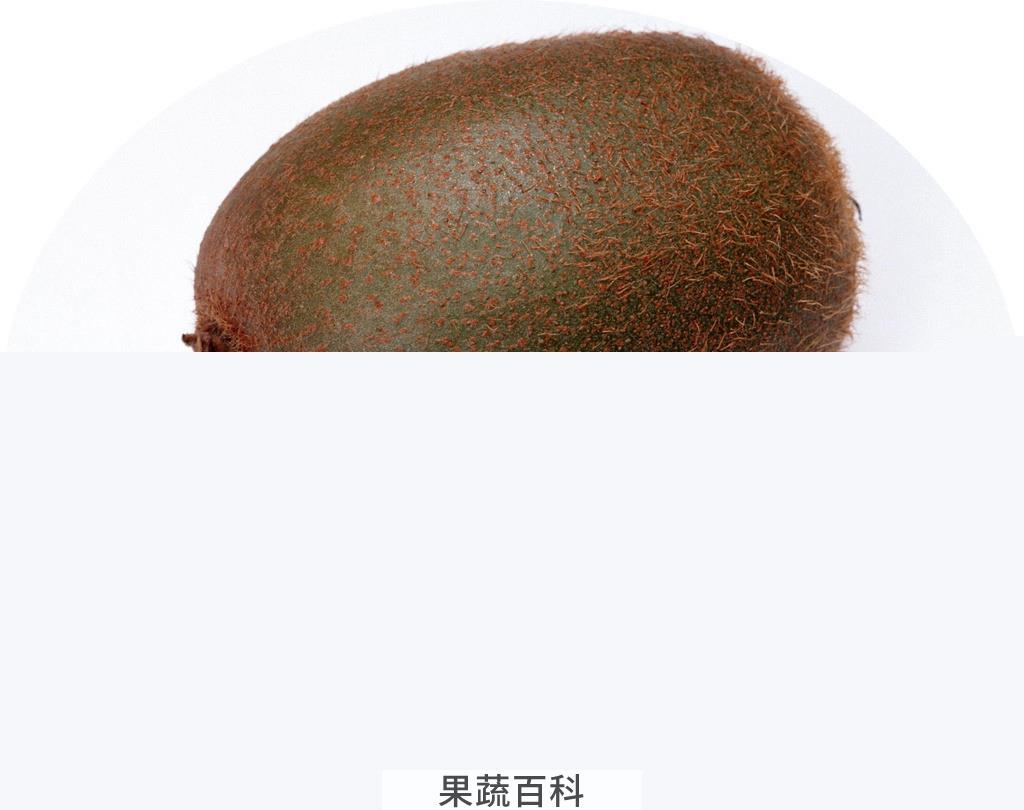 果蔬百科猕猴桃