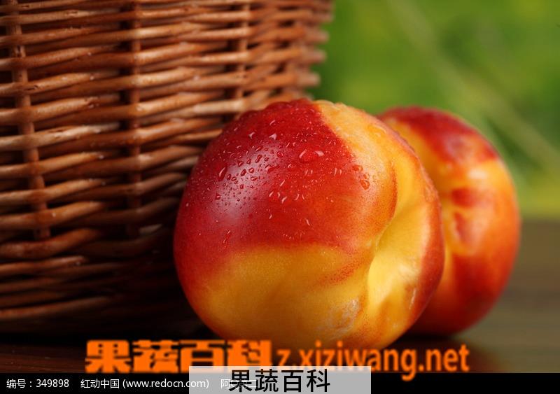 果蔬百科油桃
