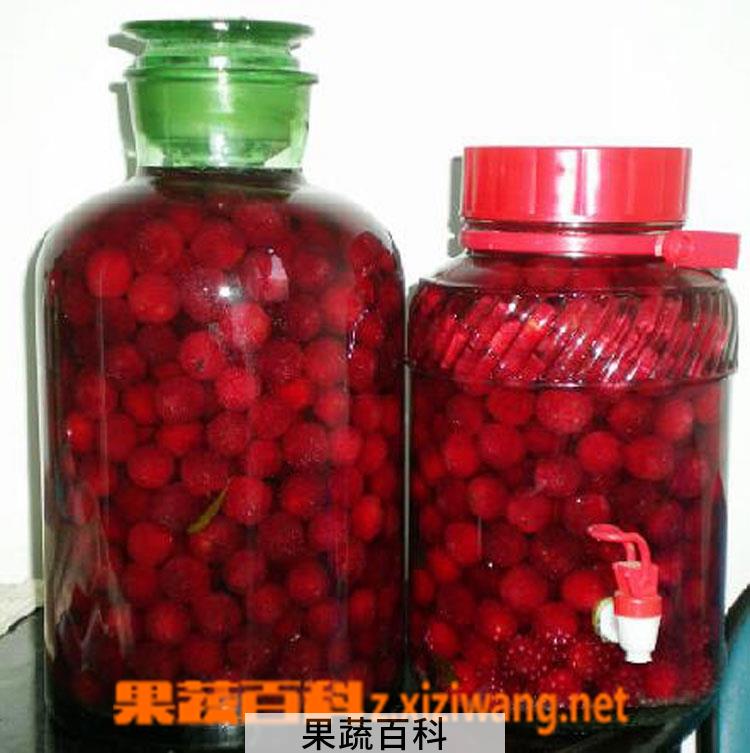 果蔬百科杨梅酒