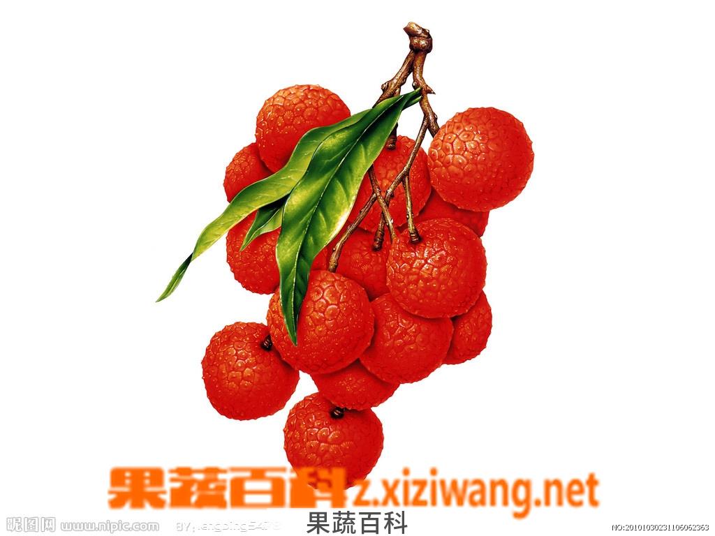 果蔬百科荔枝