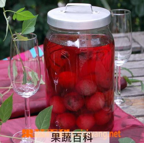 果蔬百科杨梅酒