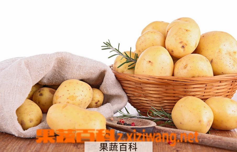 果蔬百科土豆的功效与作用及土豆的吃法