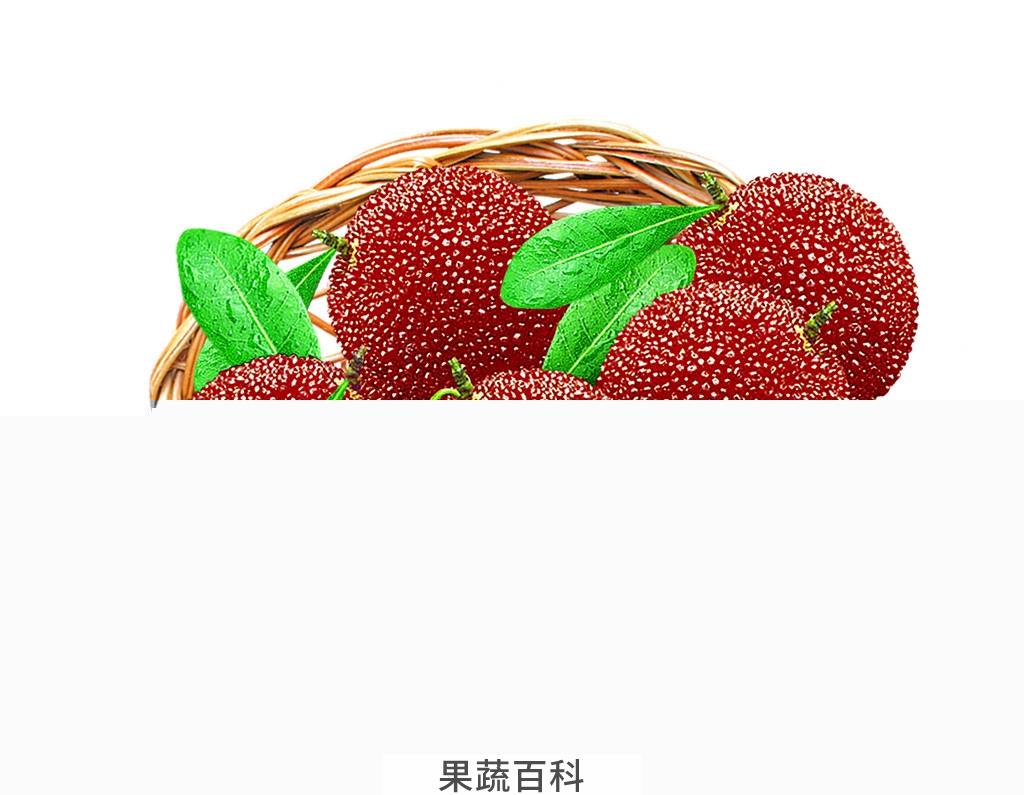 果蔬百科杨梅