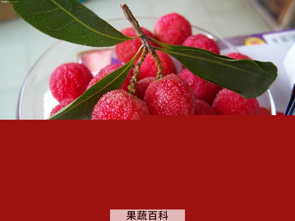 果蔬百科杨梅