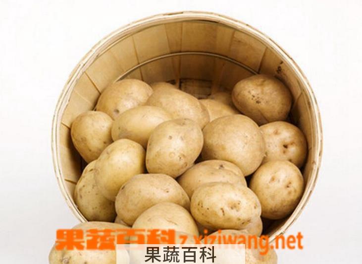 果蔬百科土豆的功效与作用